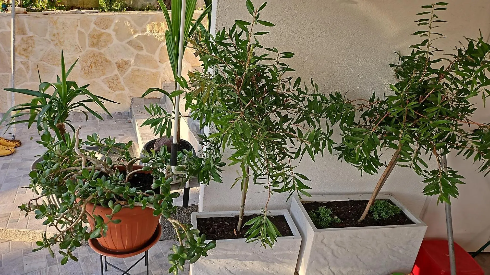 Apartmani Sandra - Trogir Apartment